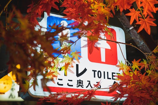 股价持续大涨两家上市钨企提示风险