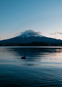 从分散立法到系统集成；生态环境法典如何守护家园。