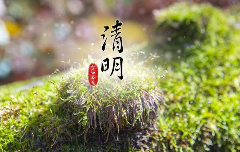  仪式·符号·传承：清明祭扫的教育心理学价值深度剖析 教育招生 仪式·符号·传承：清明祭扫的教育心理学价值深度剖析 教育招生