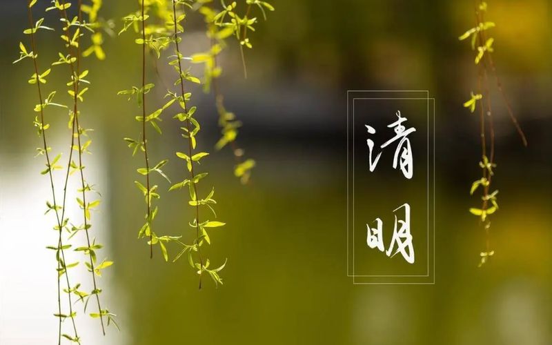  仪式·符号·传承：清明祭扫的教育心理学价值深度剖析 教育招生 仪式·符号·传承：清明祭扫的教育心理学价值深度剖析 教育招生