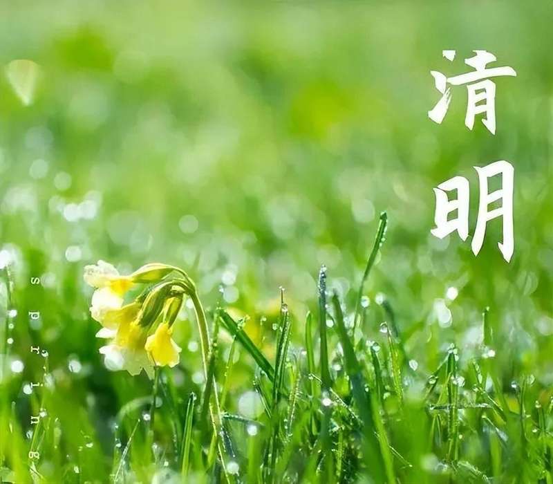  仪式·符号·传承：清明祭扫的教育心理学价值深度剖析 教育招生 仪式·符号·传承：清明祭扫的教育心理学价值深度剖析 教育招生