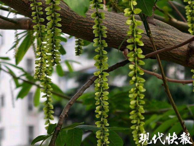  又到“乱穿衣”时节：春季阴雨连绵，我们该如何守护好自己和家人？ 新闻 又到“乱穿衣”时节：春季阴雨连绵，我们该如何守护好自己和家人？ 新闻 又到“乱穿衣”时节：春季阴雨连绵，我们该如何守护好自己和家人？ 新闻