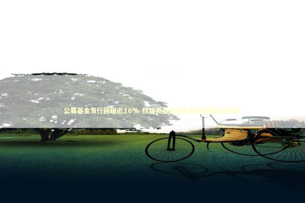 公募基金发行回暖近20% 权益类基金受追捧被动指数成热点 新闻