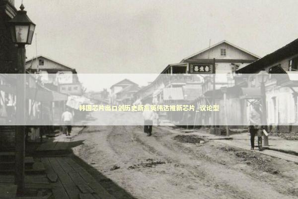 韩国芯片出口创历史新高英伟达推新芯片_议论型