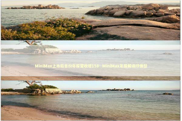 MiniMax上市后首份年报营收增158- MiniMax年报解读抒情型