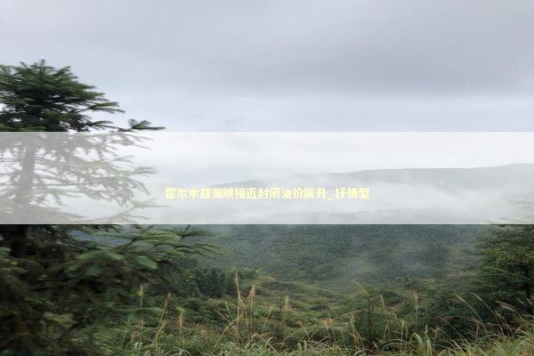 霍尔木兹海峡接近封闭油价飙升_抒情型