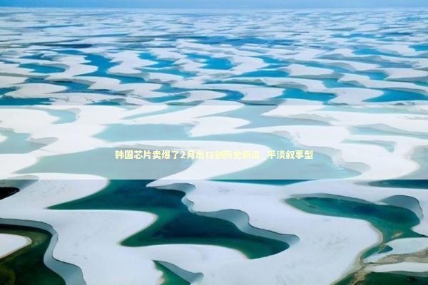 韩国芯片卖爆了2月出口创历史新高_平淡叙事型