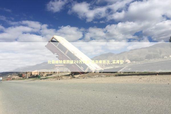 比亚迪销量跌破20万大关 近年来首次_实用型