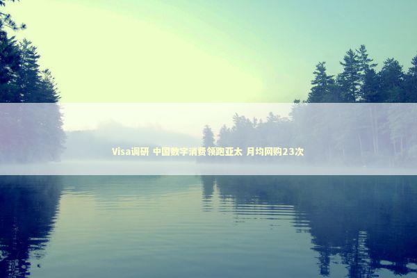 Visa调研 中国数字消费领跑亚太 月均网购23次 新闻
