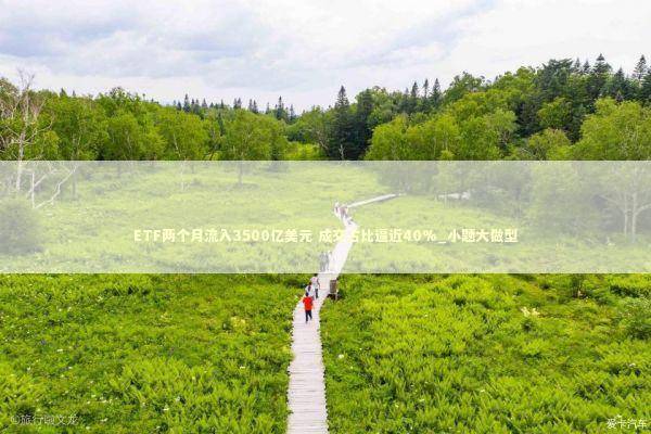ETF两个月流入3500亿美元 成交占比逼近40%_小题大做型
