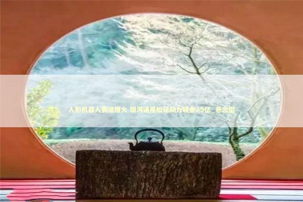 人形机器人赛道爆火 银河通用松延动力吸金35亿_悬念型
