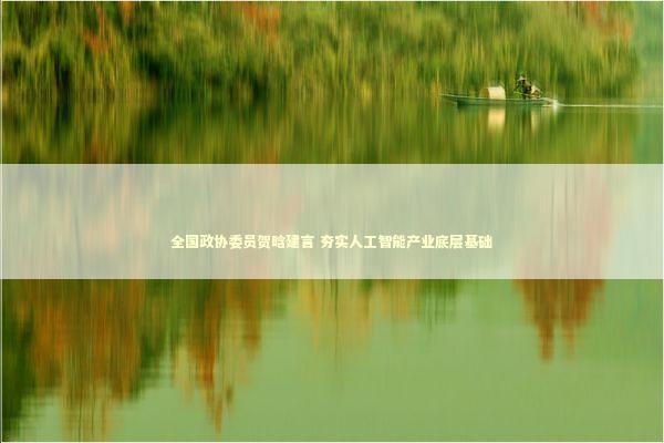 全国政协委员贺晗建言 夯实人工智能产业底层基础