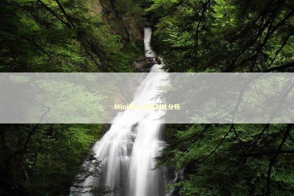 MiniMax年报对比分析