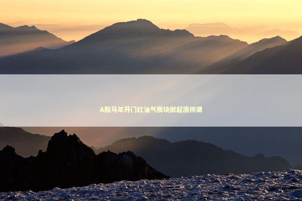 A股马年开门红油气板块掀起涨停潮