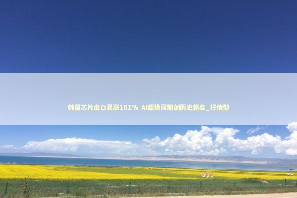 韩国芯片出口暴涨161% AI超级周期创历史新高_抒情型