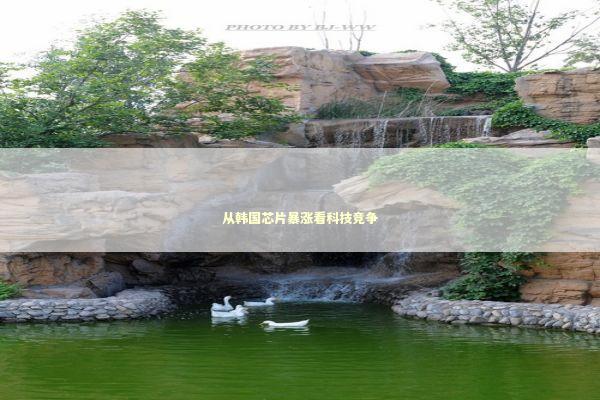 从韩国芯片暴涨看科技竞争