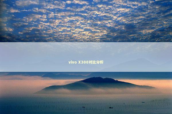 vivo X300对比分析