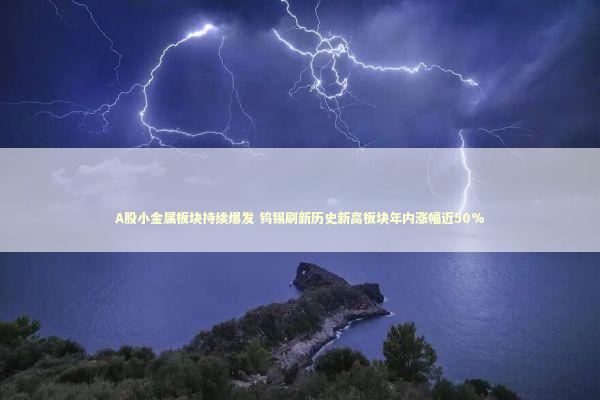 A股小金属板块持续爆发 钨锡刷新历史新高板块年内涨幅近50%