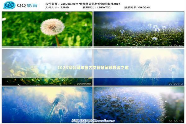 1023家公司年报古文智慧解读投资之道