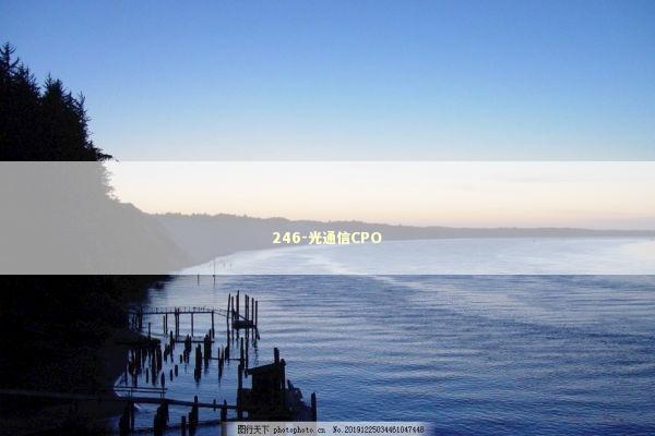 246-光通信CPO