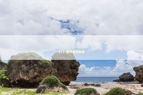 271-银河通用融资
