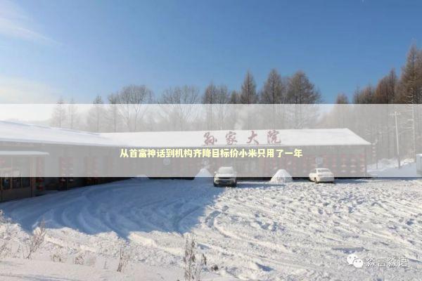 从首富神话到机构齐降目标价小米只用了一年