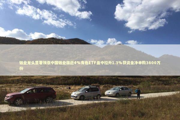 铝业龙头显著领涨中国铝业涨近4%有色ETF盘中拉升1.3%获资金净申购3600万份