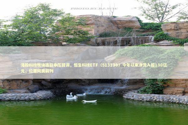 港股科技板块连日承压回调，恒生科技ETF（513130）今年以来净流入超130亿元，位居同类前列