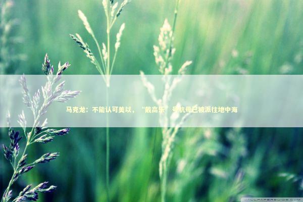 马克龙：不能认可美以，“戴高乐”号航母已被派往地中海