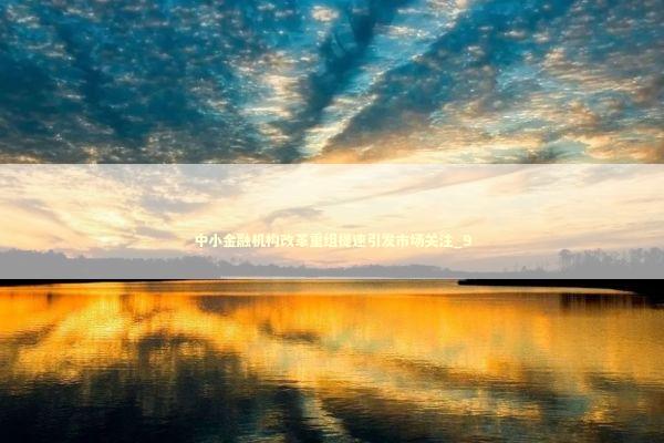 中小金融机构改革重组提速引发市场关注_9