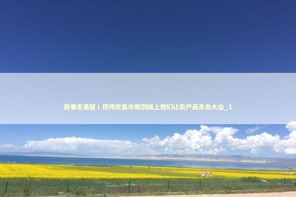 新春走基层丨把传统集市搬到线上他们让农产品走出大山_1