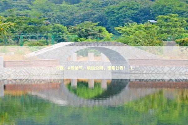 今夜，A股油气、航运公司，密集公告！_1