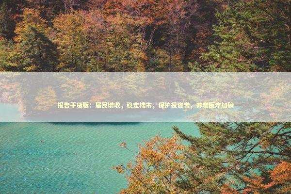 报告干货版：居民增收，稳定楼市，保护投资者，养老医疗加磅