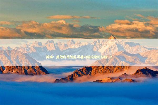 英媒：美政府策划起诉委内瑞拉临时总统_2