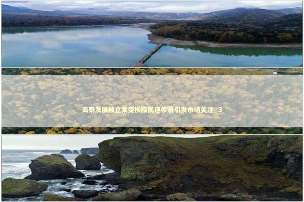 海泰发展被立案受损股民速索赔引发市场关注_3