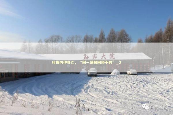 哈梅内伊身亡，“同一情报网络干的”_2