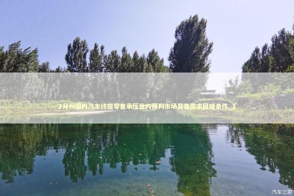 2月份国内汽车终端零售承压业内预判市场具备需求回暖条件_1