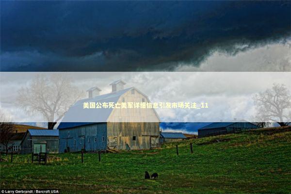 美国公布死亡美军详细信息引发市场关注_11