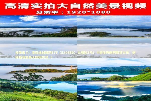 反弹来了！港股通创新药ETF（520880）大涨超3%！中国生物制药新签大单，创移植赛道最大规模交易_5