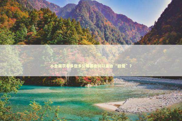 小金属获看多做多公募基金何以重拾“旧爱”？