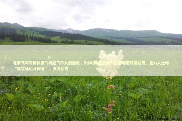 北京飞匈牙利救援飞机起飞不久后返航，5小时内盘旋数十圈落地后取消航班，业内人士称“耗完油后才降落”，多方回应