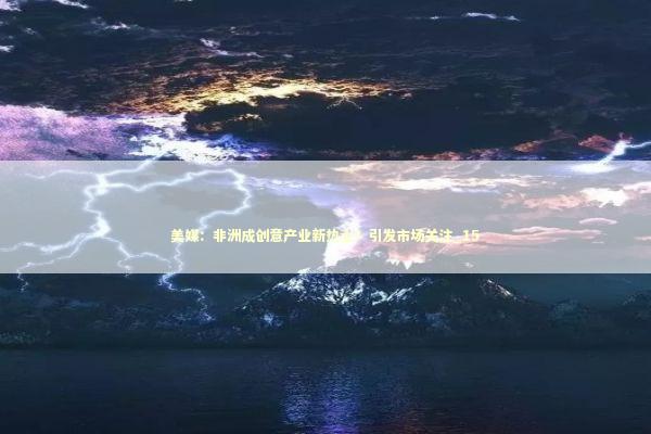 美媒：非洲成创意产业新热土？引发市场关注_15