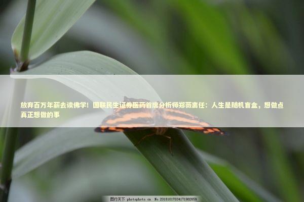 放弃百万年薪去读佛学！国联民生证券医药首席分析师郑薇离任：人生是随机盲盒，想做点真正想做的事