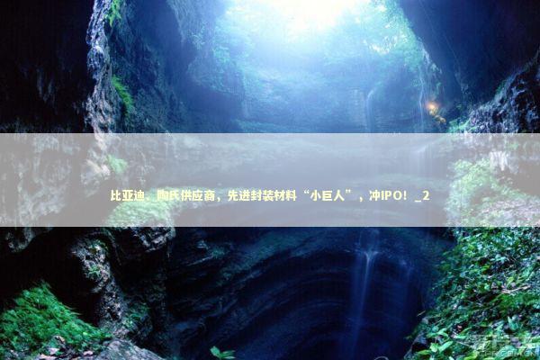 比亚迪、陶氏供应商，先进封装材料“小巨人”，冲IPO！_2