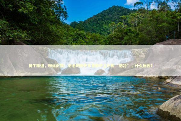 黄牛撤退，粉丝沉默！泡泡玛特开年首款IP上市即“遇冷”，什么原因？