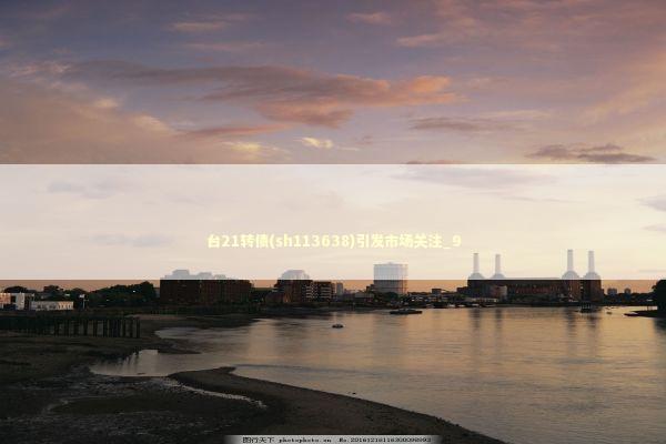 台21转债(sh113638)引发市场关注_9