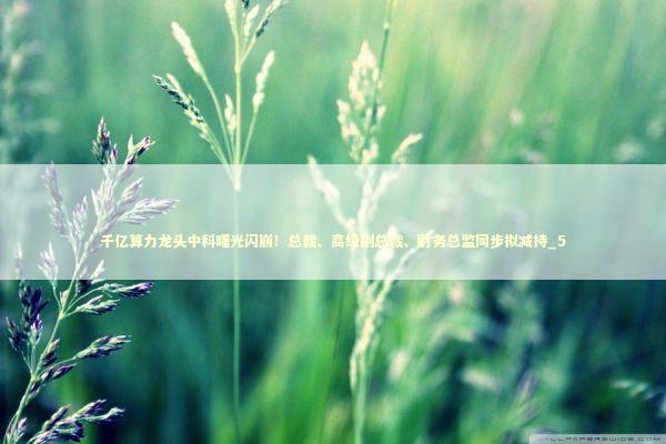 千亿算力龙头中科曙光闪崩！总裁、高级副总裁、财务总监同步拟减持_5