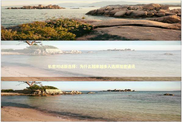 私密对话新选择：为什么越来越多人选择加密通讯